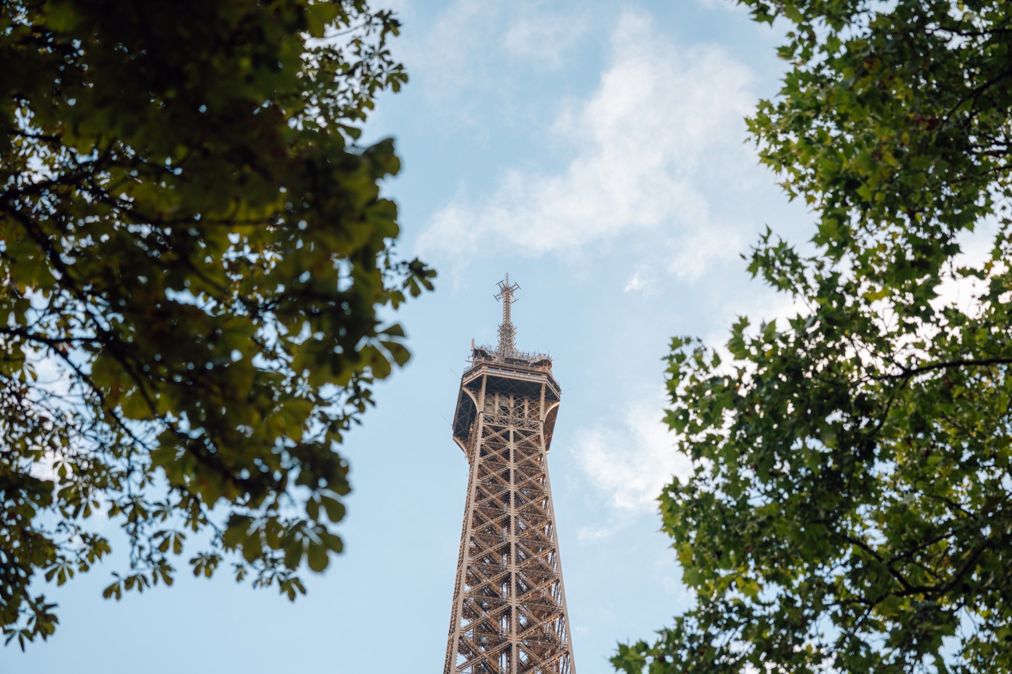 FayeParis-SSS02866.jpg
