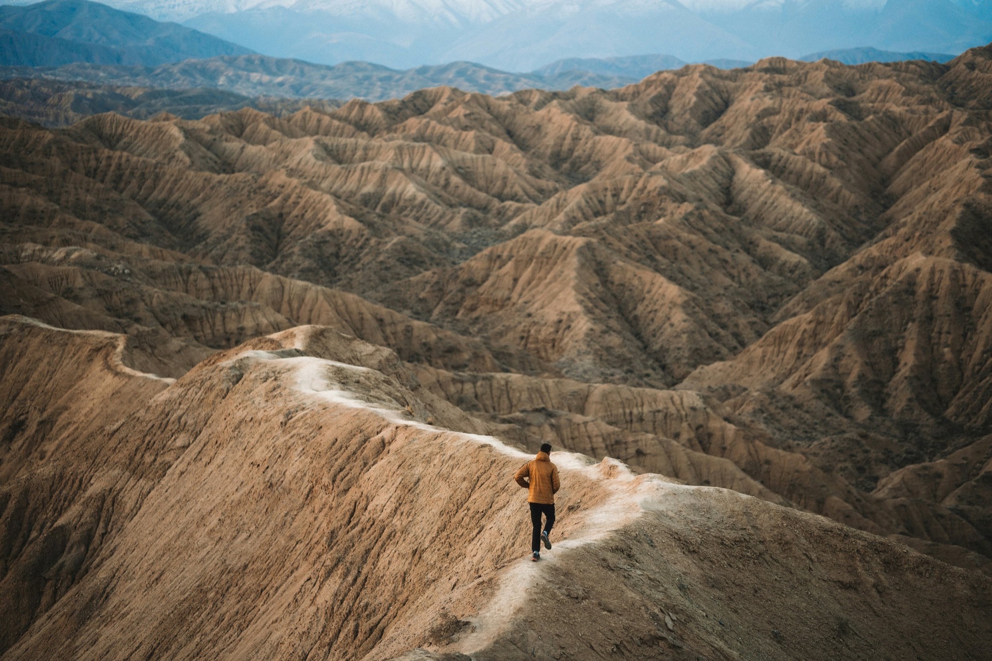 spenser-sembrat-dUmQXtMzJdc-unsplash.jpg