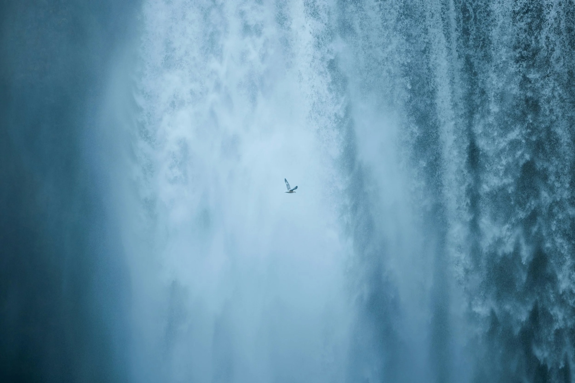 spenser-sembrat-0pixw_ui_JA-unsplash.jpg