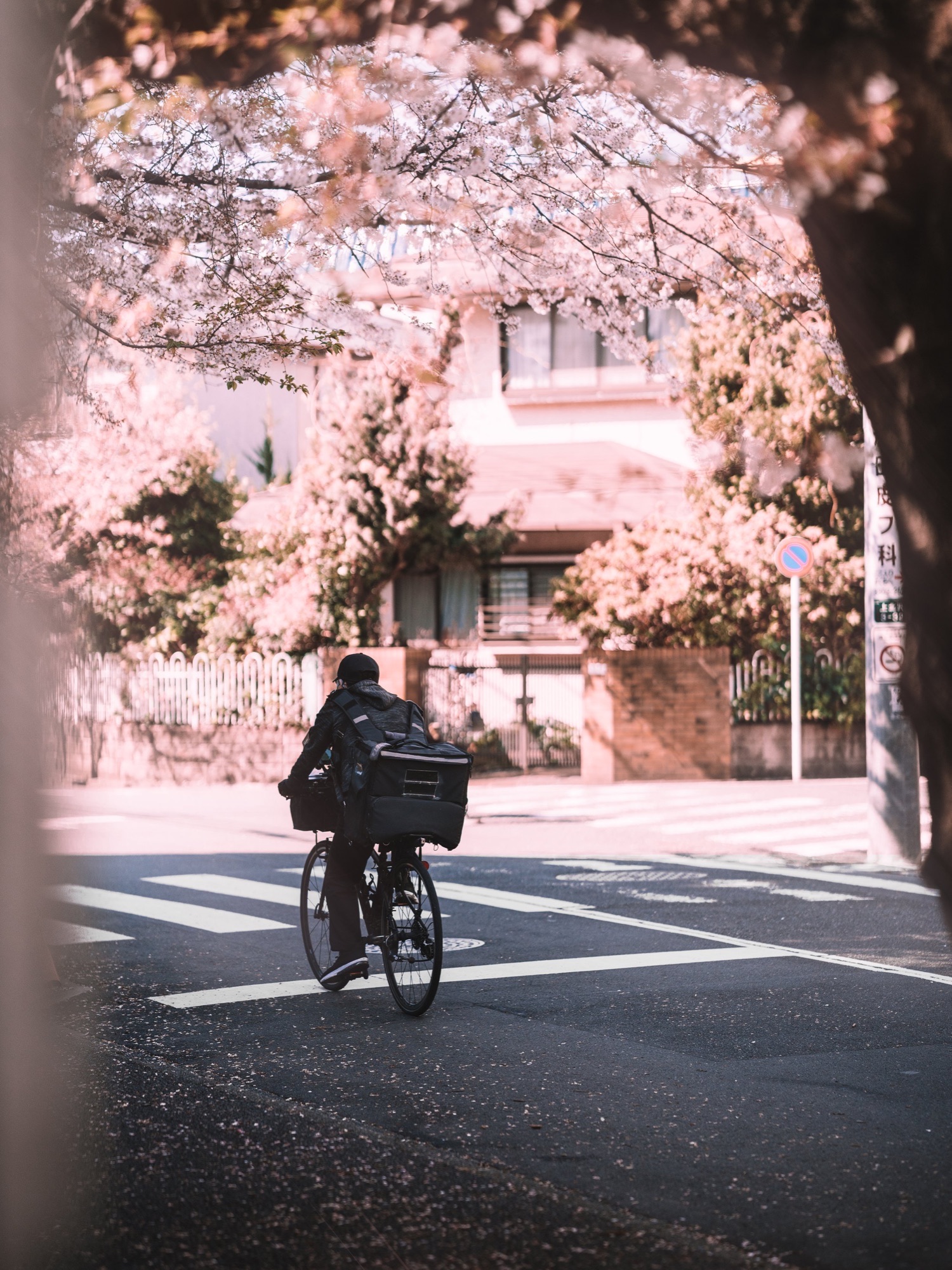 TokyoSakura2026_SSS09991-Edit-Edit.jpg