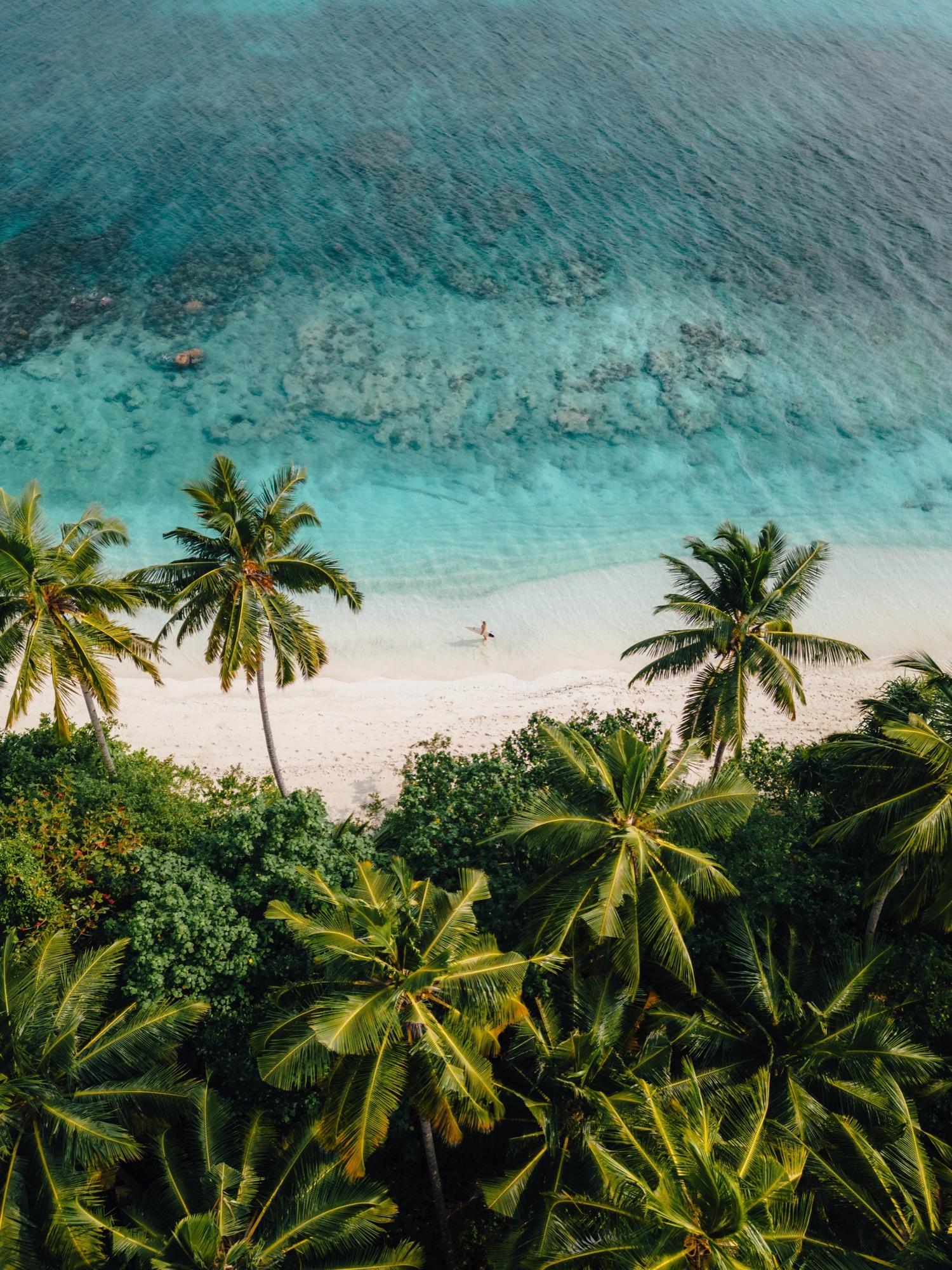 SS-DJI_0111-HDR.JPG