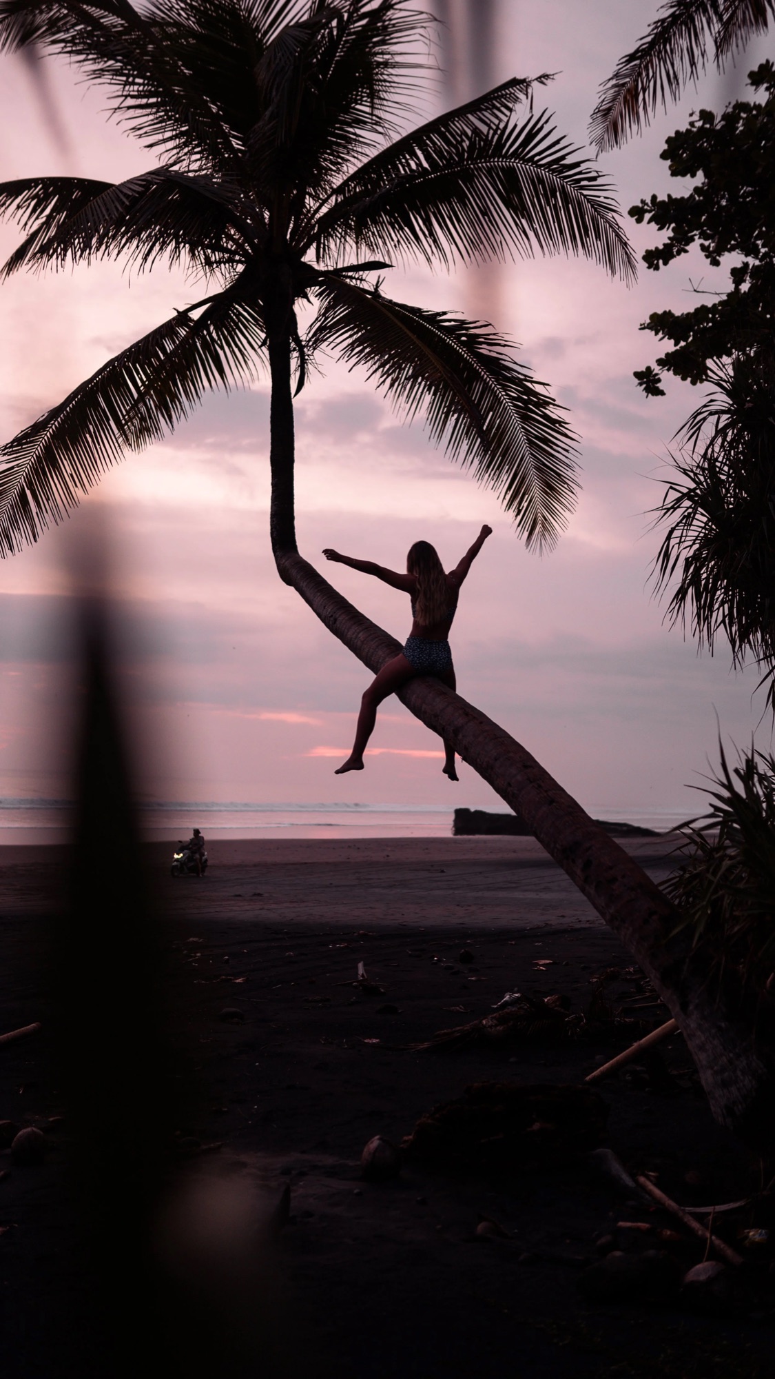 Kasey Bent Tree 9x16-3.jpg