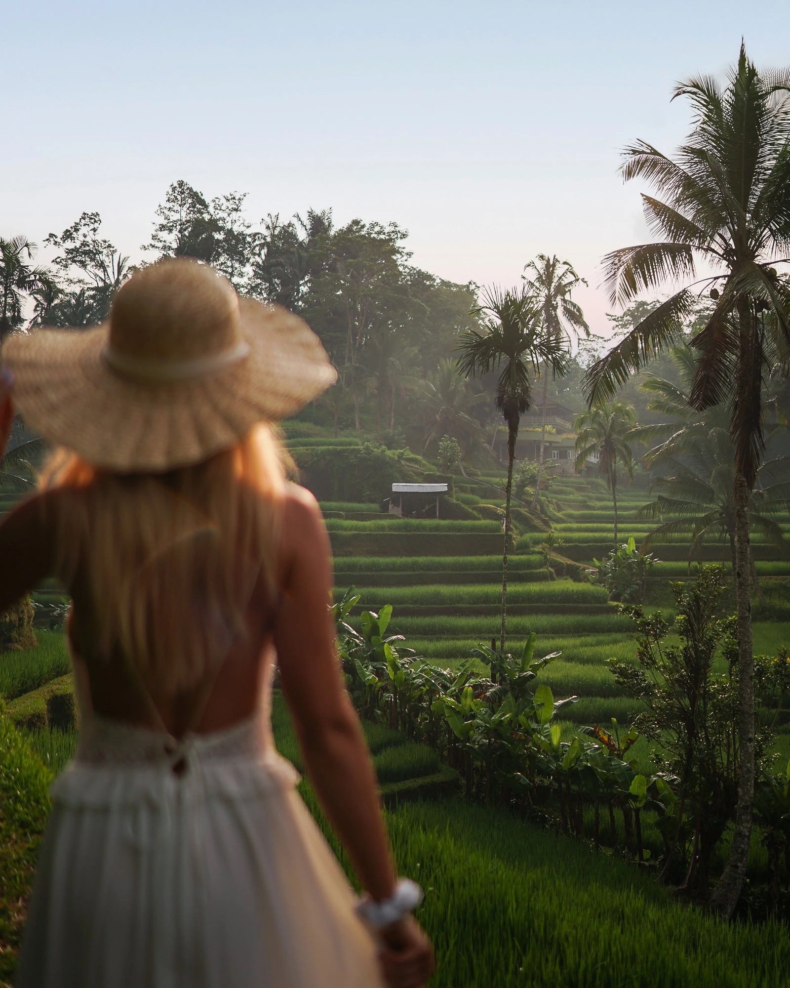 Aggie in rice field-3.jpg