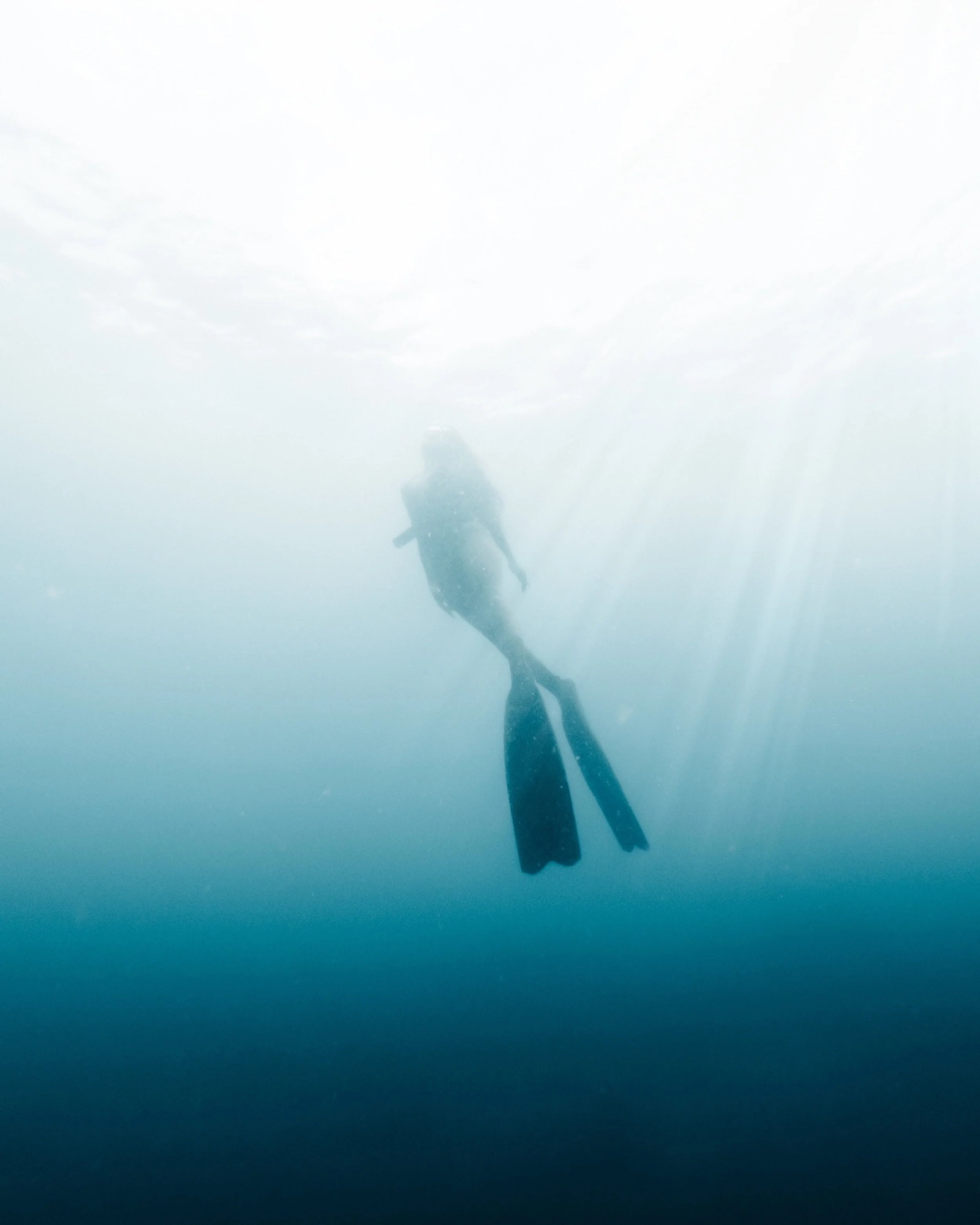 Befalia Free Diving4x5-1.jpg