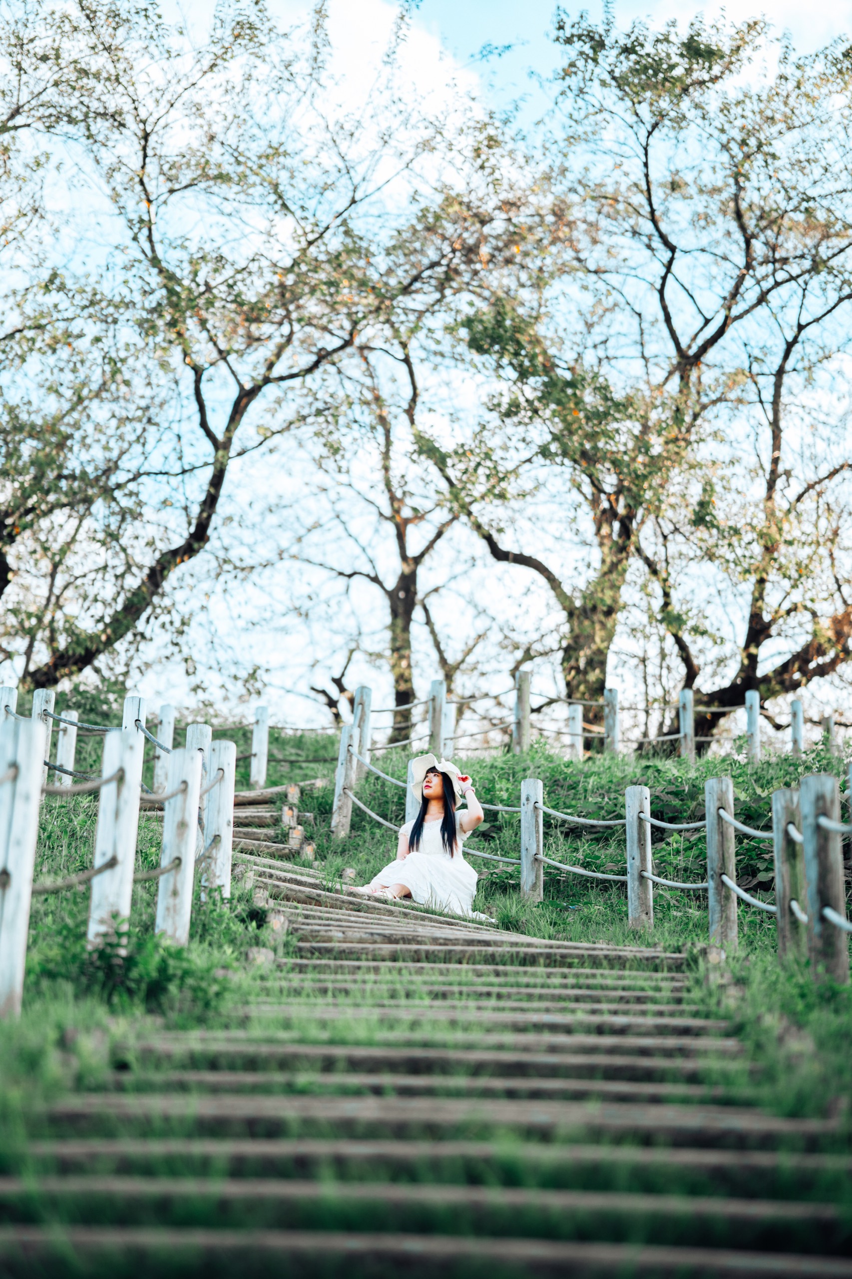 Inariyama Kofun, Japan photography by Spenser Sembrat