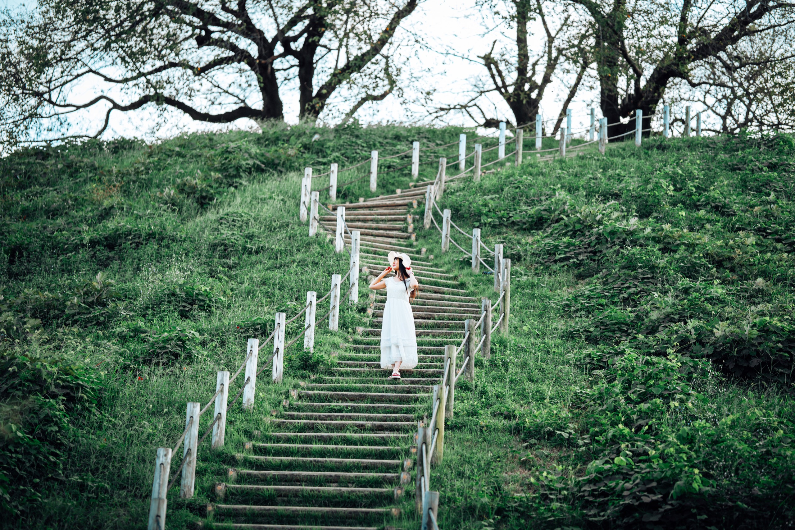 Inariyama Kofun, Japan photography by Spenser Sembrat