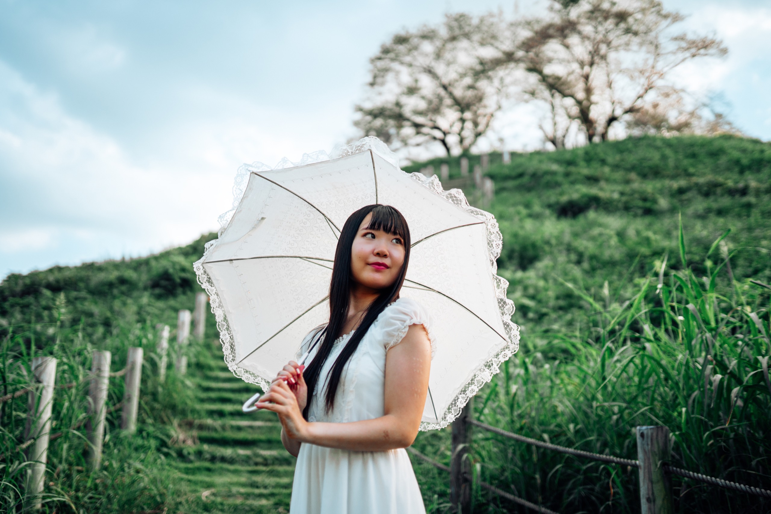 Inariyama Kofun, Japan photography by Spenser Sembrat