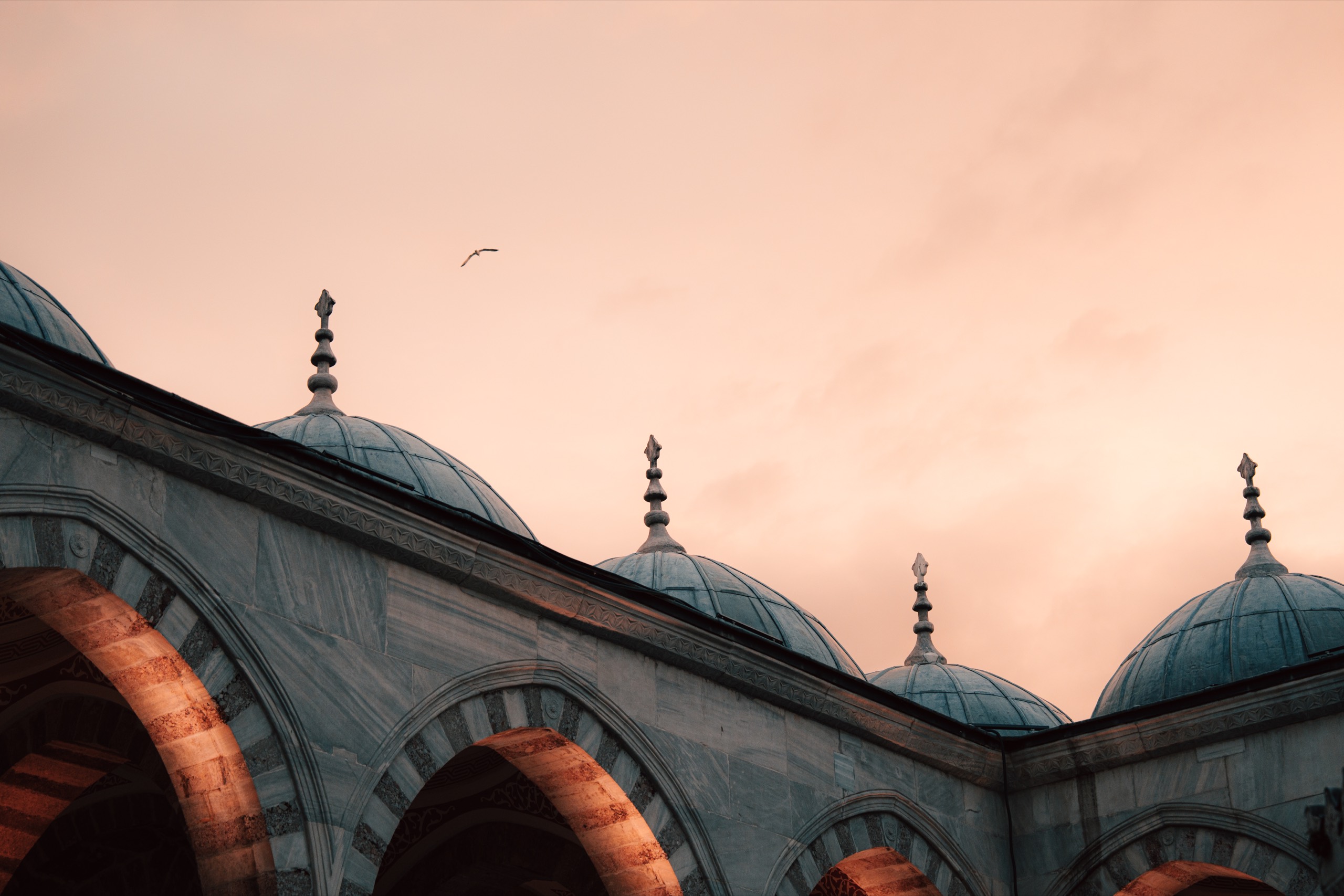 Istanbul, Türkiye photography by Spenser Sembrat