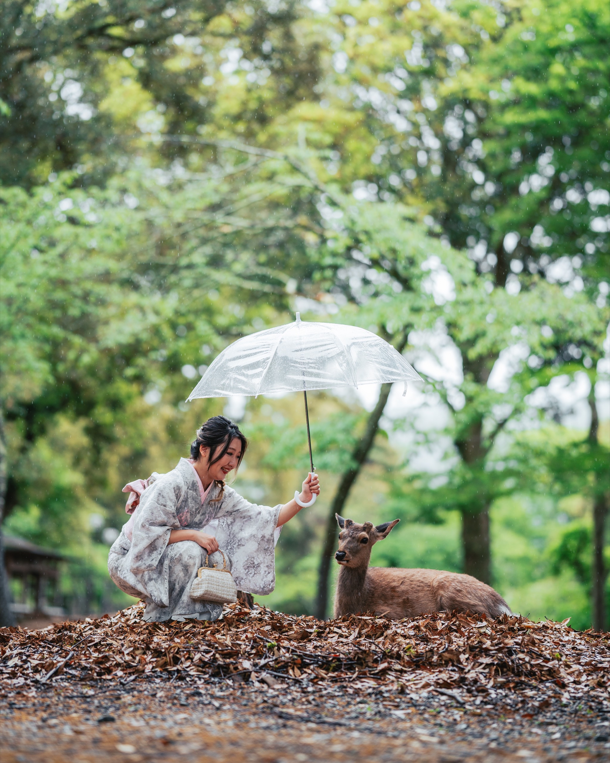 Nara, Japan photography by Spenser Sembrat