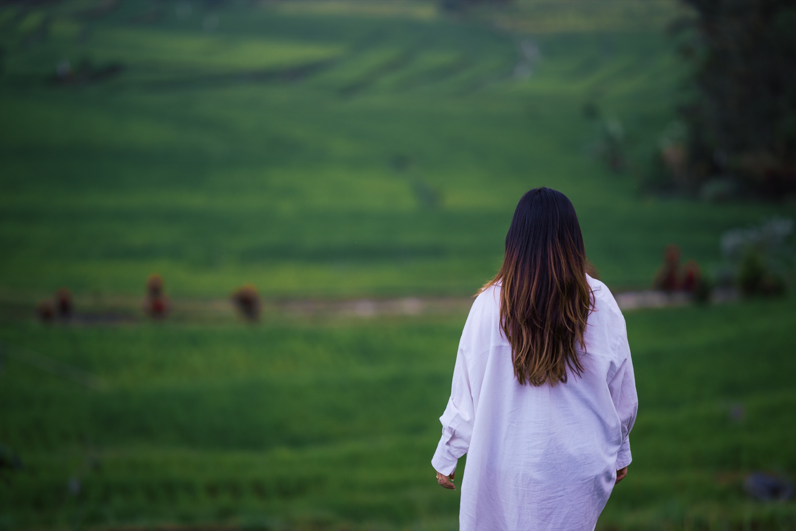 Mist rolling over the mountains above the Northern Bali rice terraces
