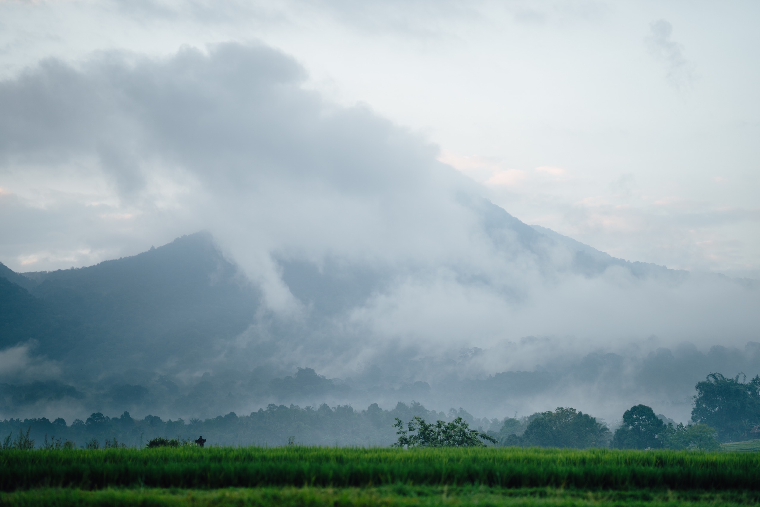 Northern Bali, Indonesia photography by Spenser Sembrat