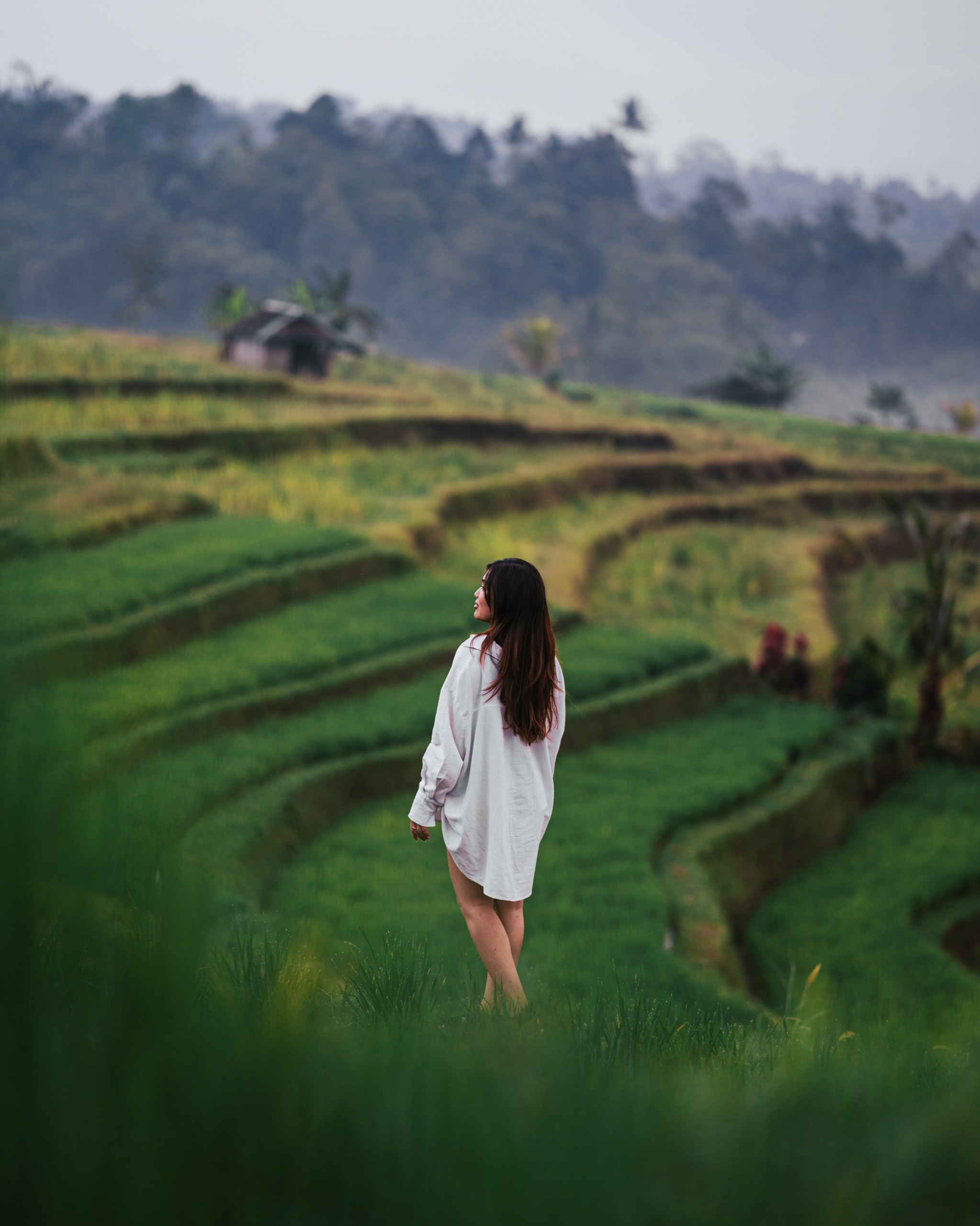 Northern Bali, Indonesia photography by Spenser Sembrat