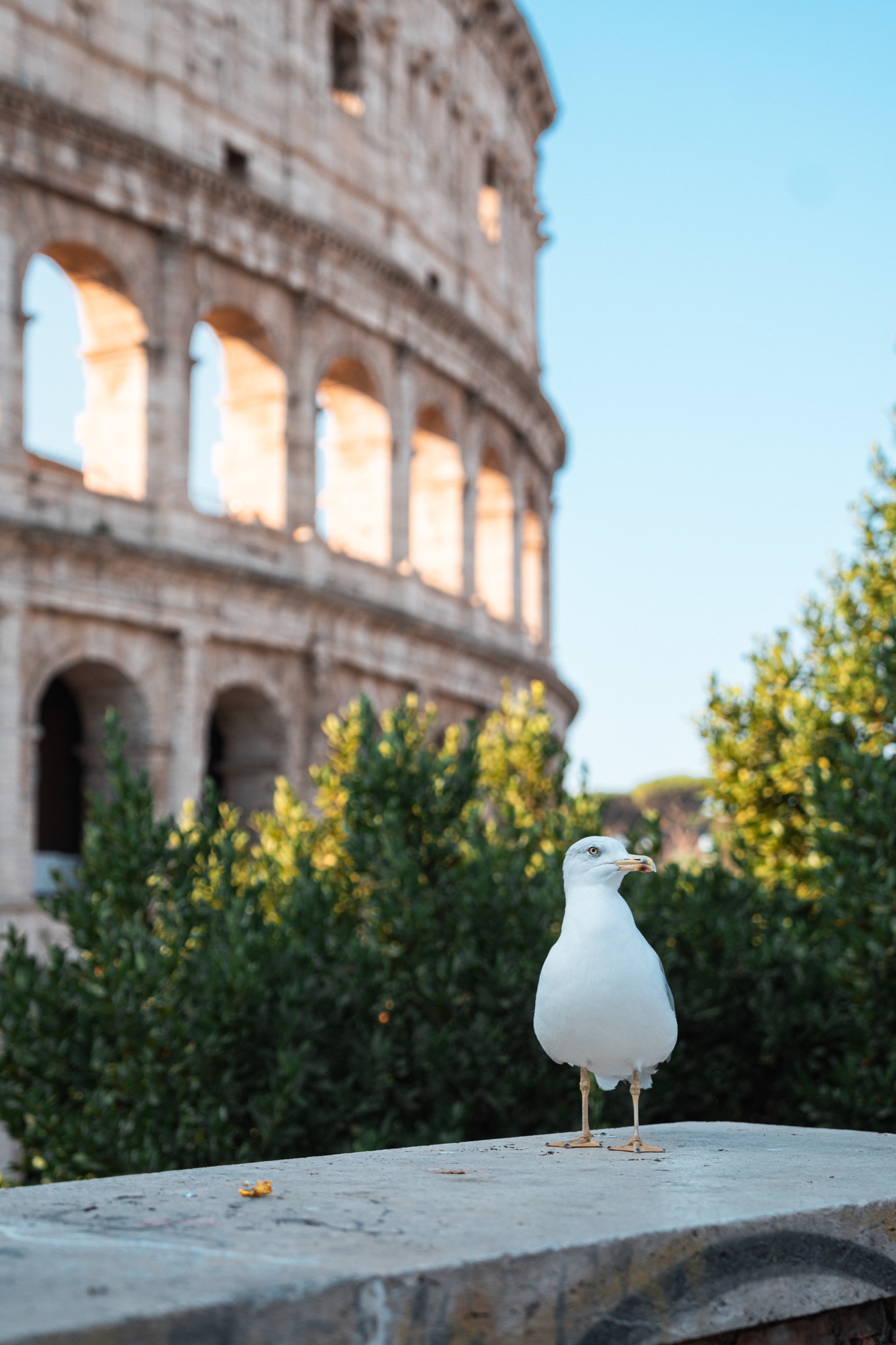 Italy photography by Spenser Sembrat