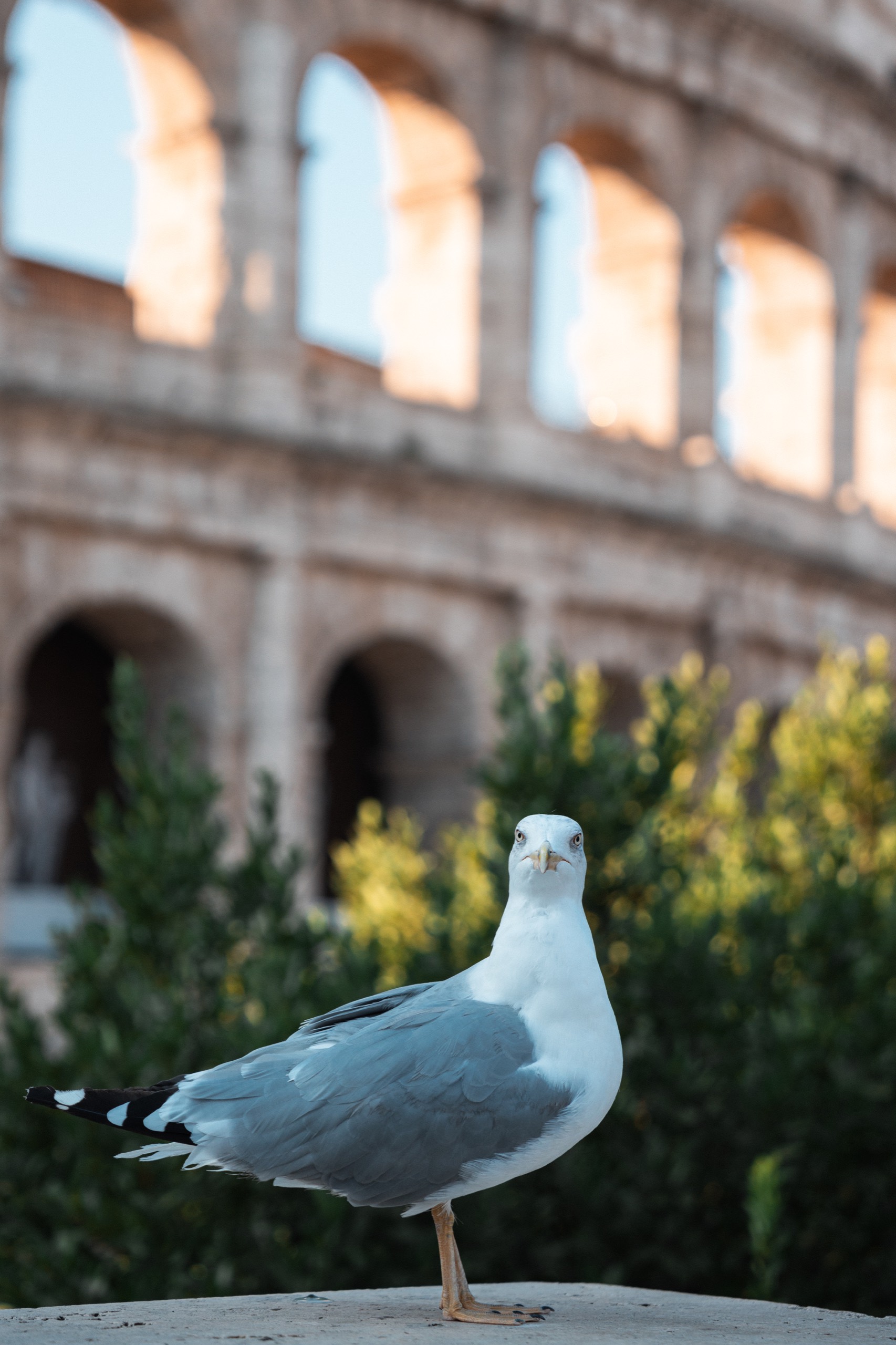 Italy photography by Spenser Sembrat