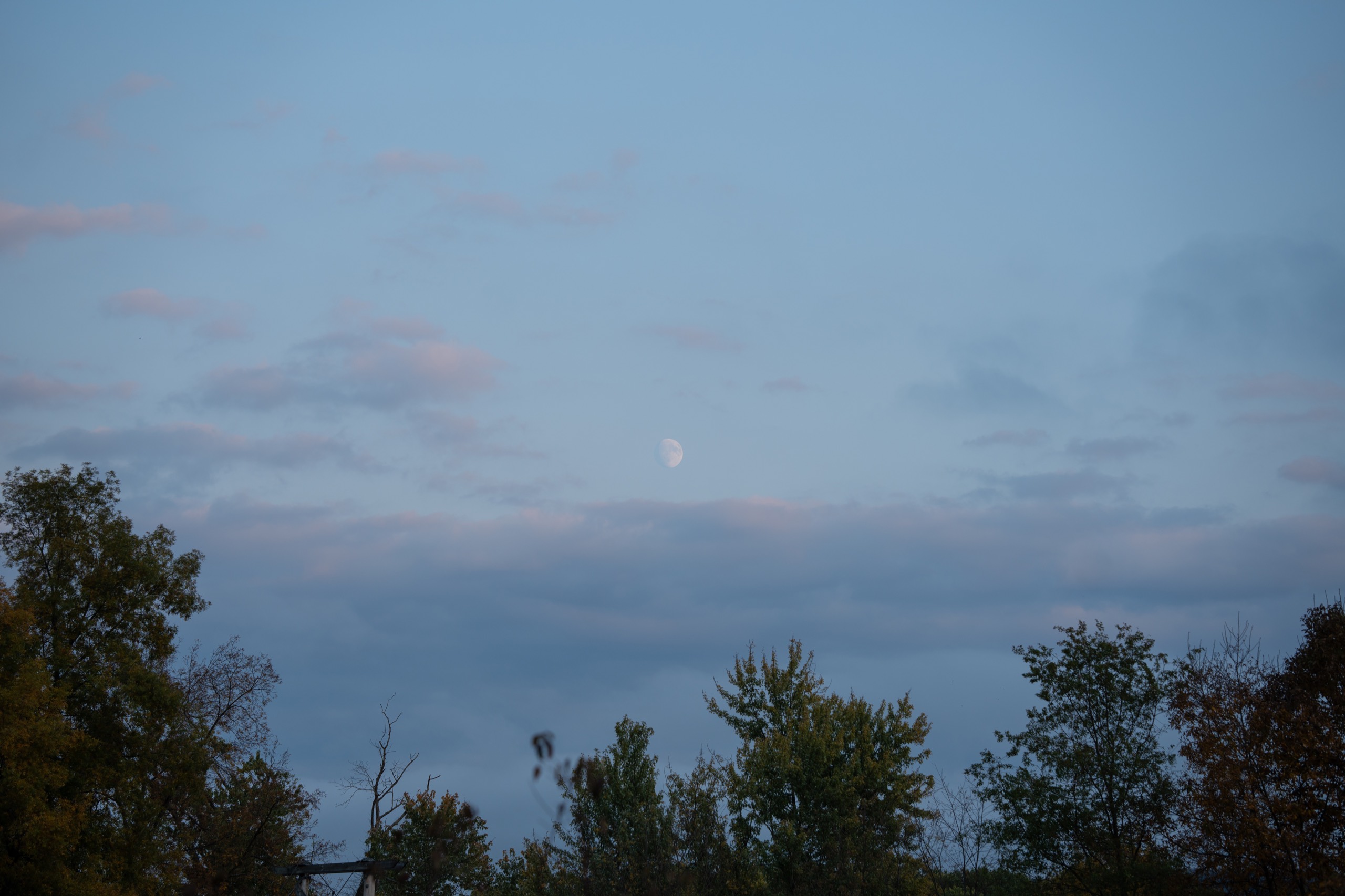 Vernon, New Jersey photography by Spenser Sembrat